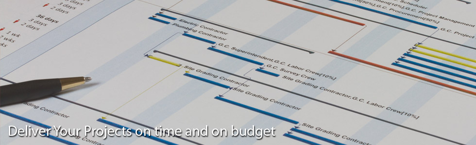 Project Plan